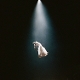 GRANDE, ARIANA-ETERNAL SUNSHINE DELUXE: BRIGHTER DAYS AHEAD -CO