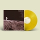CAROLINA STORY-DANDELION -COLOURED-