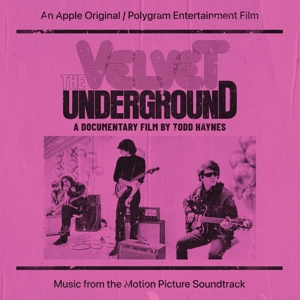 VELVET UNDERGROUND-VELVET UNDERGROUND: DOCUMENTARY FILM BY TODD