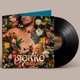 BJORKO-HEARTROT