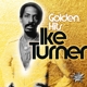 TURNER, IKE-GOLDEN HITS
