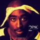 2PAC-RAP & REVOLUTION (INSTRUMENTALS)