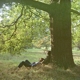 LENNON, JOHN-PLASTIC ONO BAND