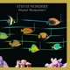 WONDER, STEVIE-ORIGINAL MUSIQUARIUM I -BEST OF-