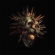 BLEED FROM WITHIN-ZENITH -COLOURED-