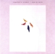 TIMOTHY B. SCHMIT-LEAP OF FAITH