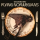 FLYING NORWEGIANS-WOUNDED BIRD