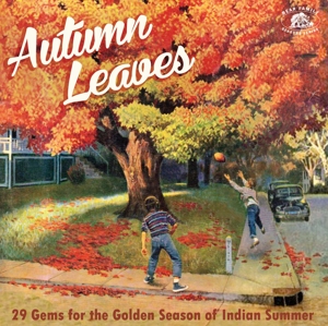 VARIOUS-AUTUMN LEAVES