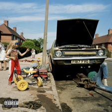 SAM MORTON-DAFFODILS & DIRT -COLOURED-