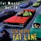 VARIOUS-LIFE IN THE FAT LANE: FAT MUSIC 4