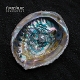 FUTURE PALACE-RESURGENCE