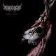 CRUELTY, MENTAL-ECHOES OF A FORLORN LAND -COL...