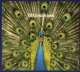 BLUETONES-EXPECTING TO FLY