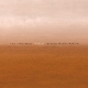 AUSTRALIAN CHAMBER ORCHESTRA-JOHN LUTHER ADAM...