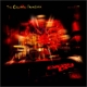 CINEMATIC ORCHESTRA, THE-EVERYDAY