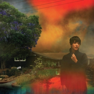 ETTEN, SHARON VAN-WE'VE BEEN GOING ABOUT THIS ALL WRONG