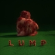 LUMP-LUMP