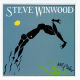 WINWOOD, STEVE-ARC OF A DIVER