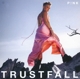 P!NK-TRUSTFALL