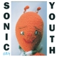 SONIC YOUTH-DIRTY