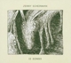 SCHEINMAN, JENNY-12 SONGS