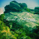 BAND OF HORSES-MIRAGE ROCK