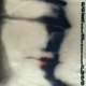 SKEPTICS (USA)-III