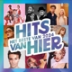 VARIOUS-HITS VAN HIER - HET BESTE VAN 2024
