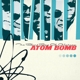 BLIND BOYS OF ALABAMA, THE-ATOM BOMB