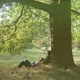LENNON, JOHN-PLASTIC ONO BAND