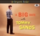 SANDS, TOMMY-DRUGSTORE'S ROCKIN'