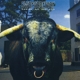 SWERVEDRIVER-MEZCAL HEAD