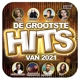 VARIOUS-GROOTSTE HITS VAN 2021