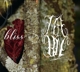 MY ABSENCE BY NOW-BLISS