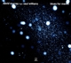 MURRAY, DAVID-BLUES FOR MEMO