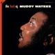 WATERS, MUDDY-BEST OF