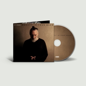 FINK-BEAUTY IN YOUR WAKE