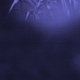 ASRA-NOCTURNAL JOURNEY