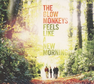 BLOW MONKEYS-FEELS LIKE A NEW MORNING