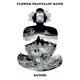 FLOWER TRAVELLIN' BAND-SATORI