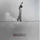 INCUBUS-IF NOT NOW, WHEN?