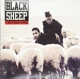 BLACK SHEEP-A WOLF IN SHEEPS CLOTHING