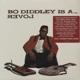 DIDDLEY, BO-BO DIDDLEY IS A LOVER