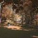 SPINVIS-7.6.9.6.