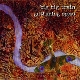 BIG BIG TRAIN-GATHERING SPEED