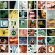PEARL JAM-NO CODE