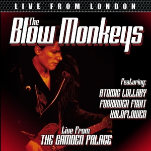 BLOW MONKEYS-LIVE FROM LONDON