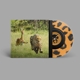 THUNDERCAT & TAME IMPALA-NO MORE LIES