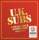 UK SUBS-A PUNK ROCK ANTHOLOGY - 1978-2017 -CO...