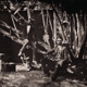PASCAUD, MATTHIS & HUGH COLTMAN-NIGHT TRIPPIN...